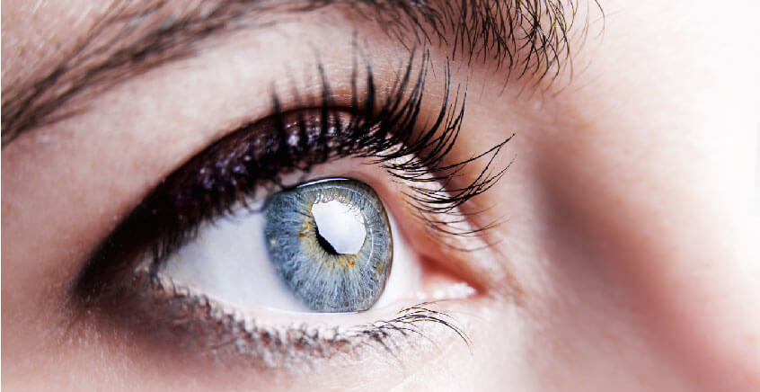 Menjaga Retina Adalah Salah Satu Kunci Mata yang Sehat